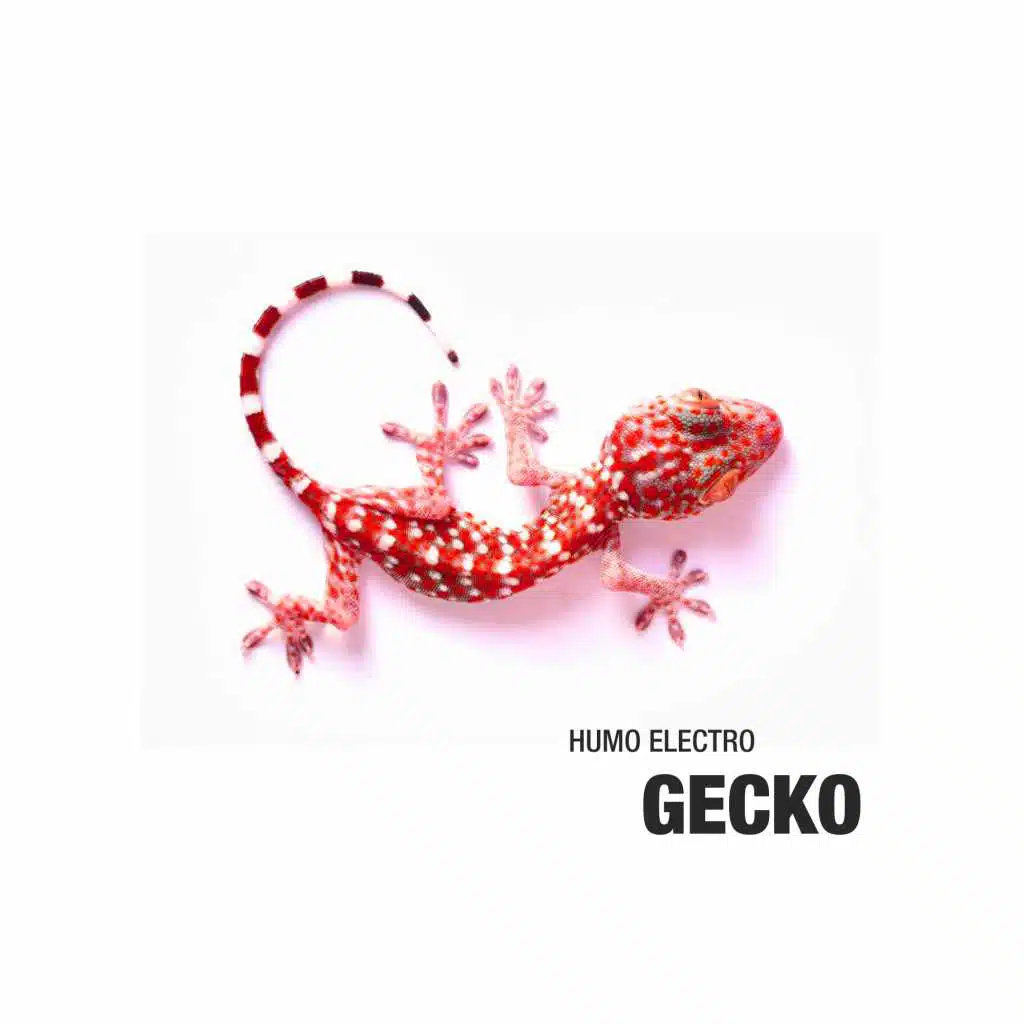 Gecko - Ep