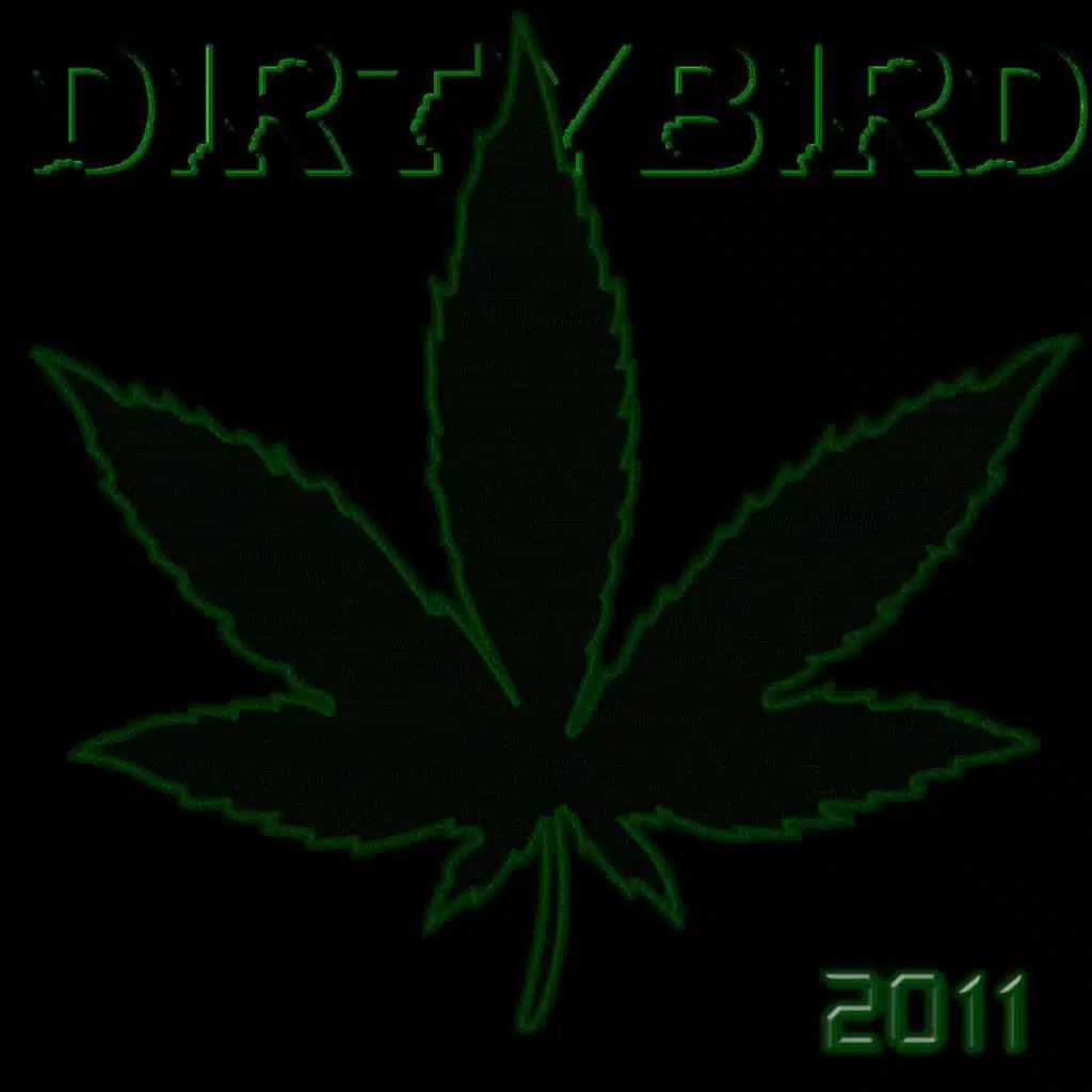 Chronic Twenty-Eleven