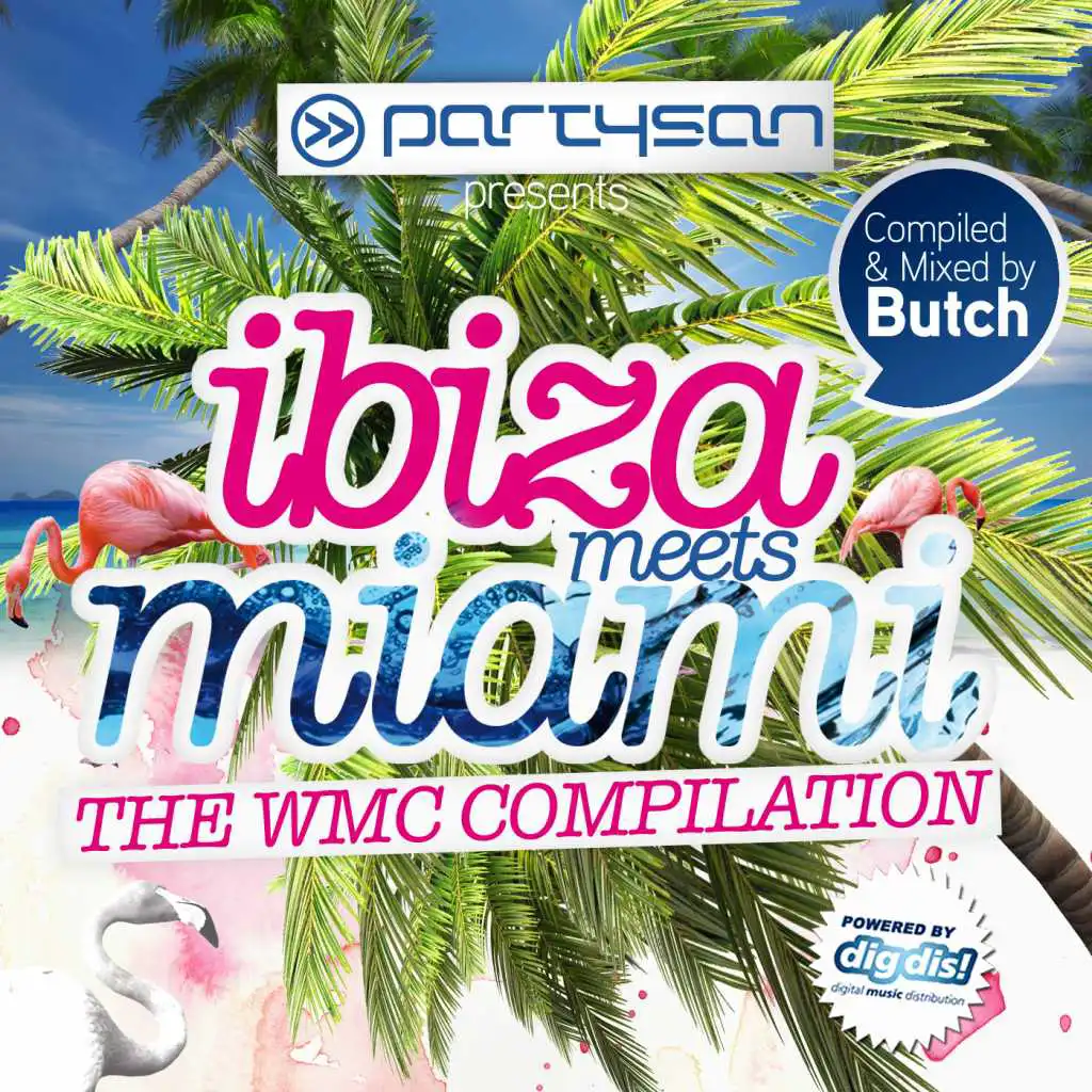 Partysan - Ibiza Meets Miami DJ-Mix (Continuous DJ Mix)