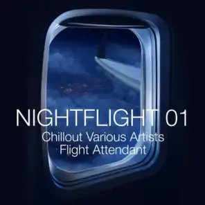 Nightflight 01 DJ Mix (Continuous DJ Mix)