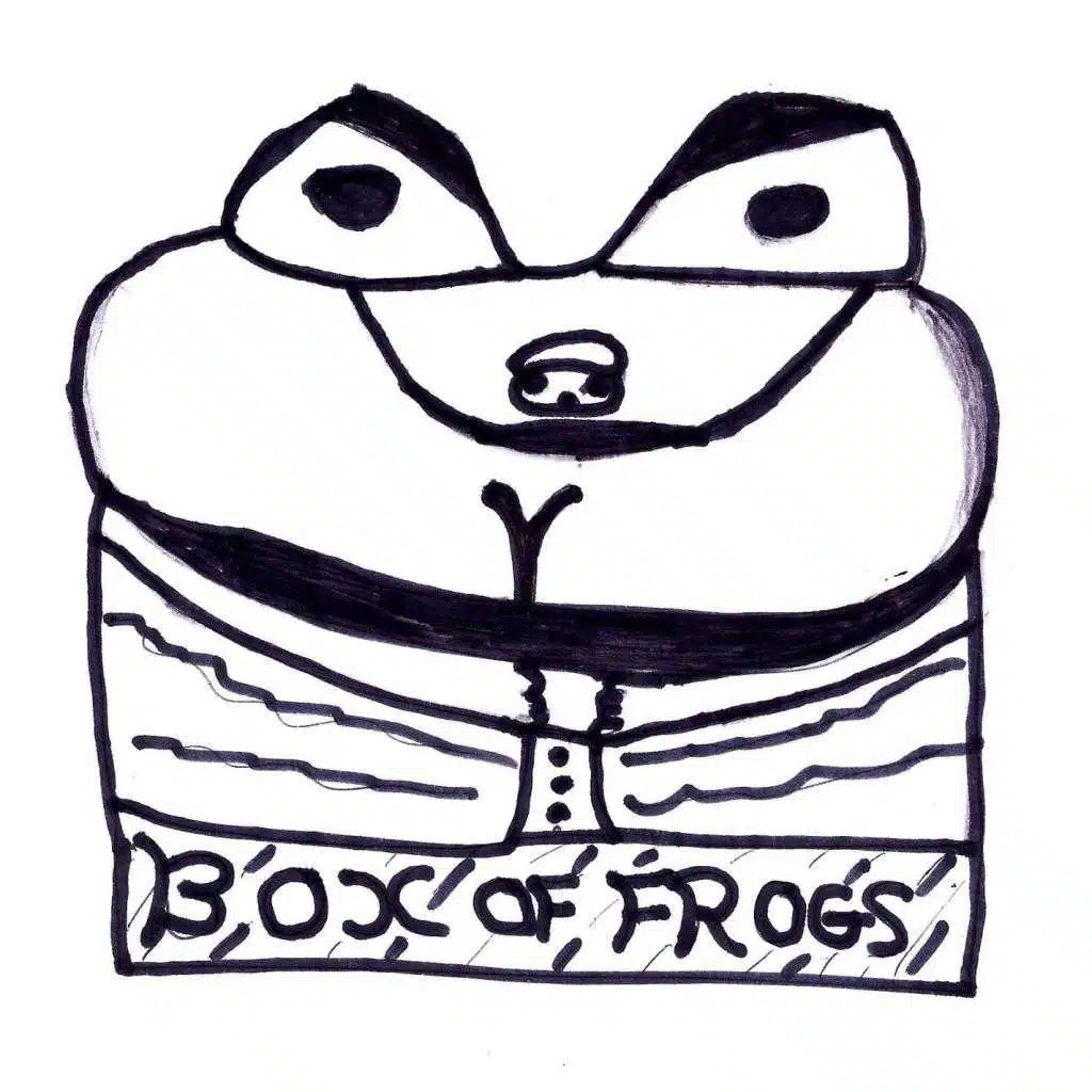 Box Of Frogs