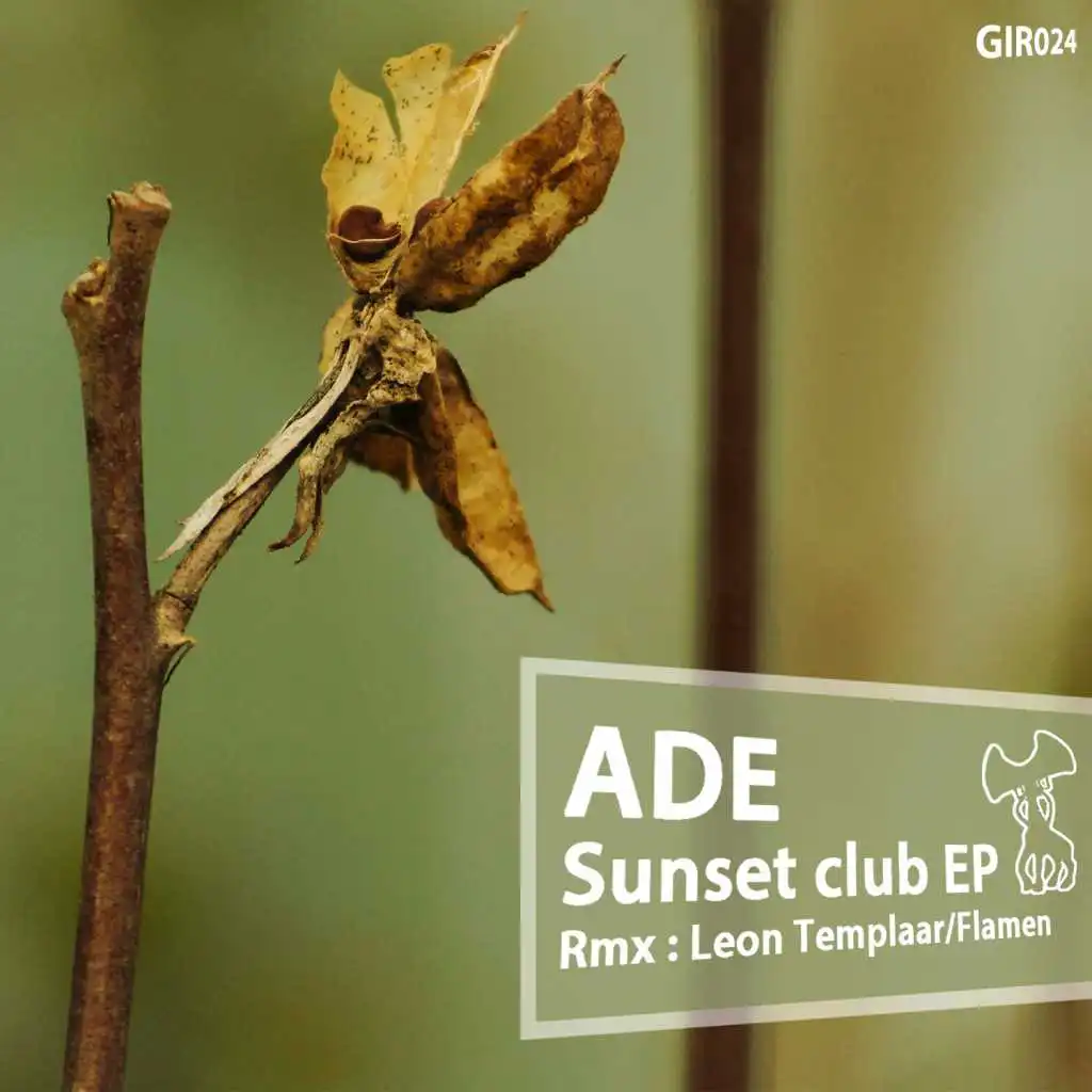 Sunset Club (Leon Templaar Remix)