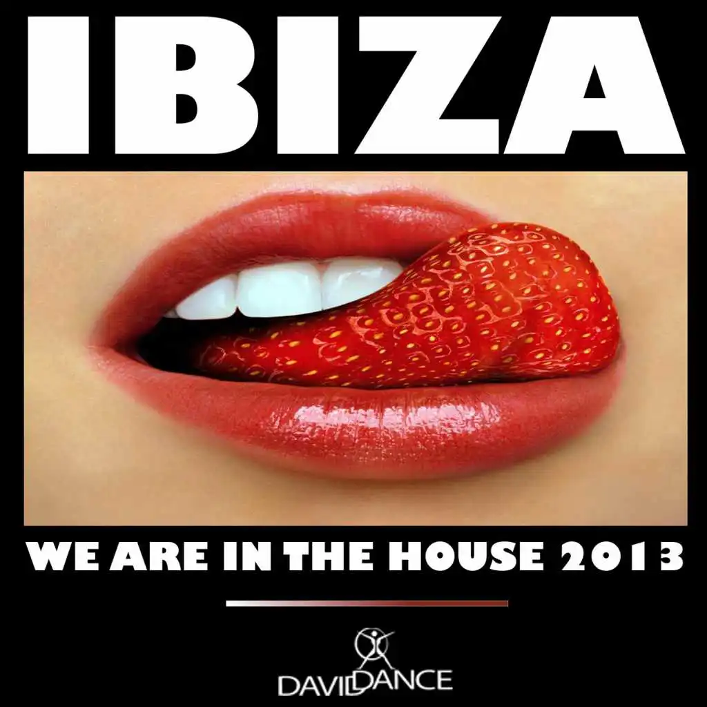 Ibiza 2013 - We Are in the House, Vol. 1