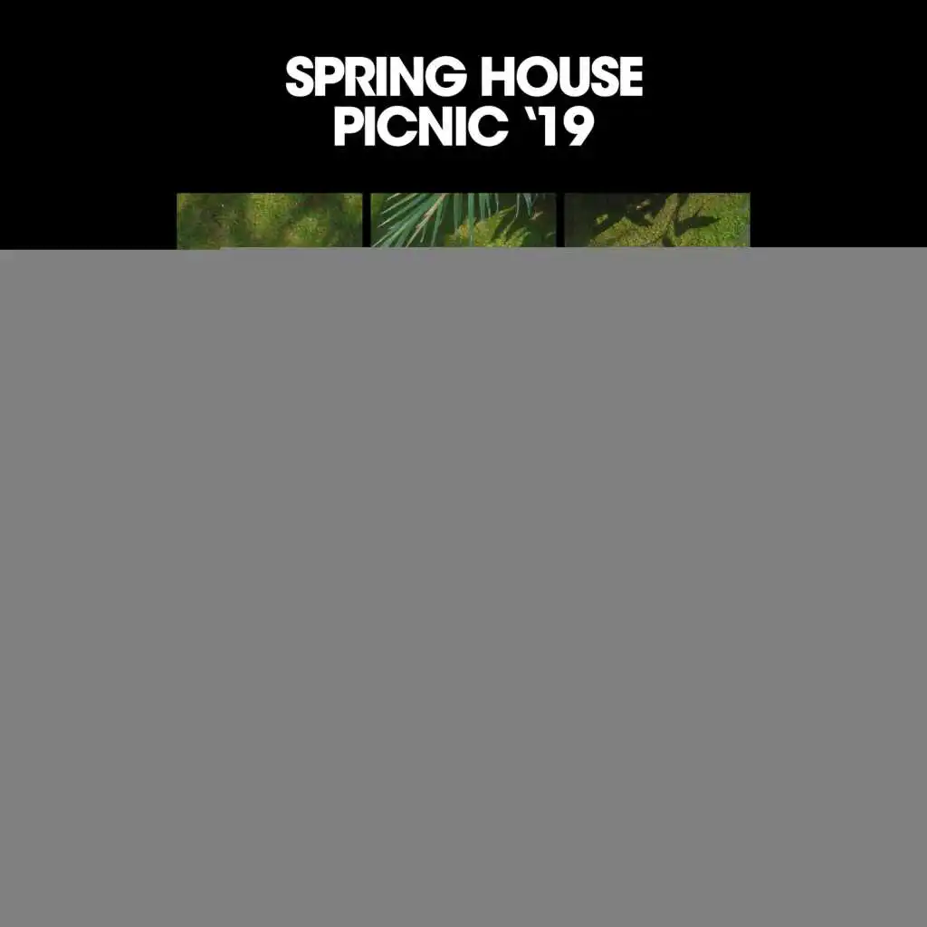 Spring House Picnic '19