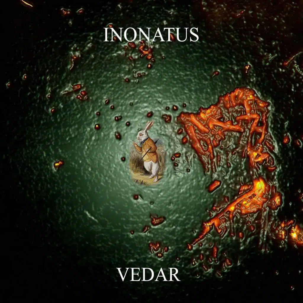 Inonatus
