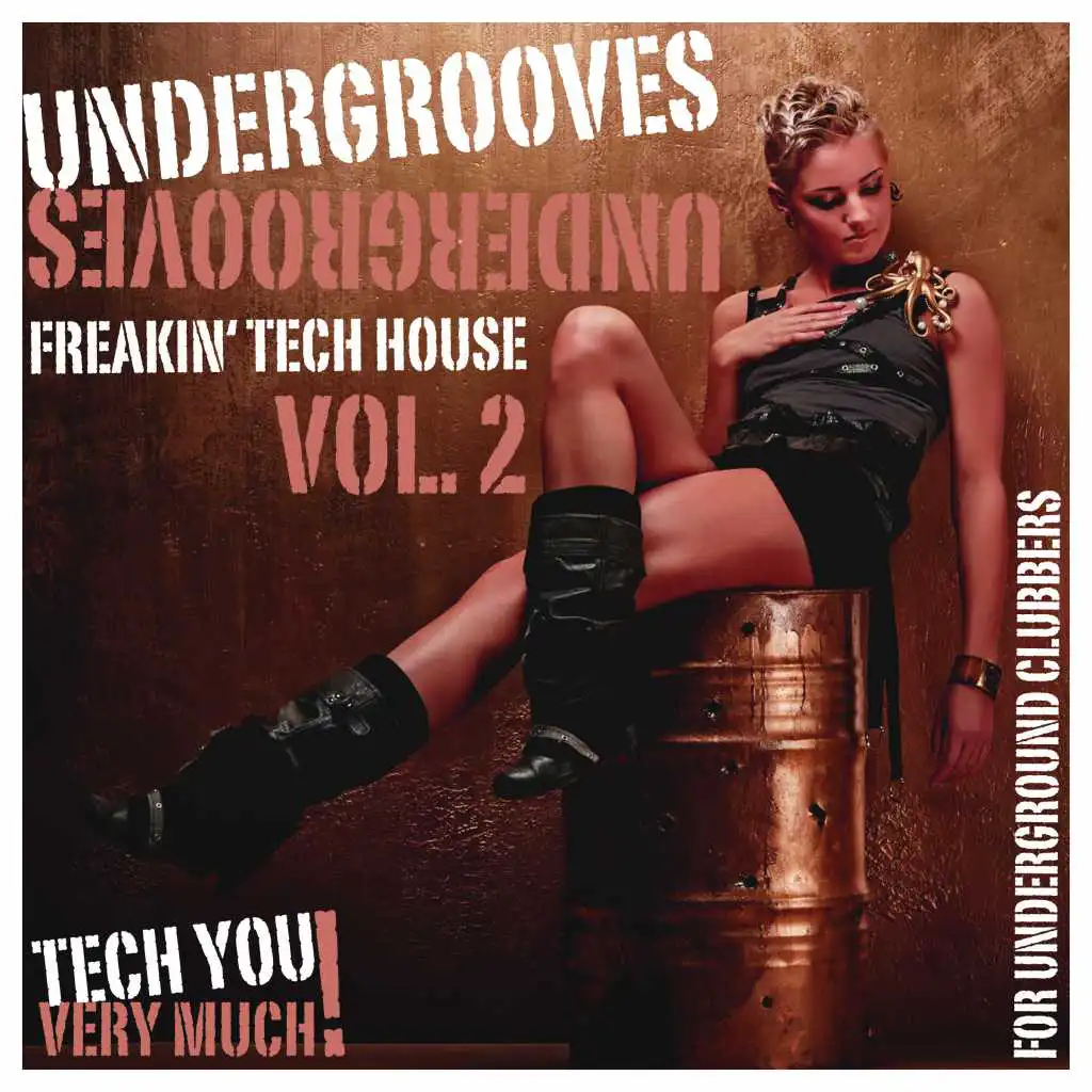 Undergrooves, Vol. 2 (Freakin' Tech House Tracks for Underground Clubbers)