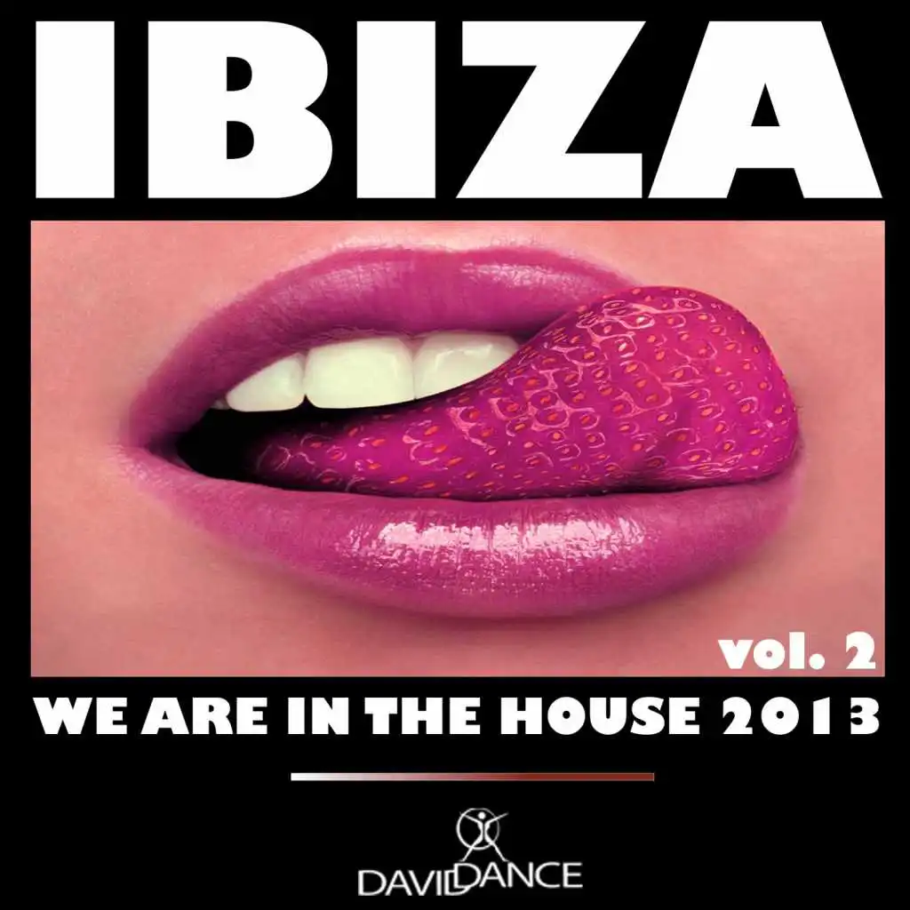 IBIZA 2013 - We Are in the House, Vol. 2