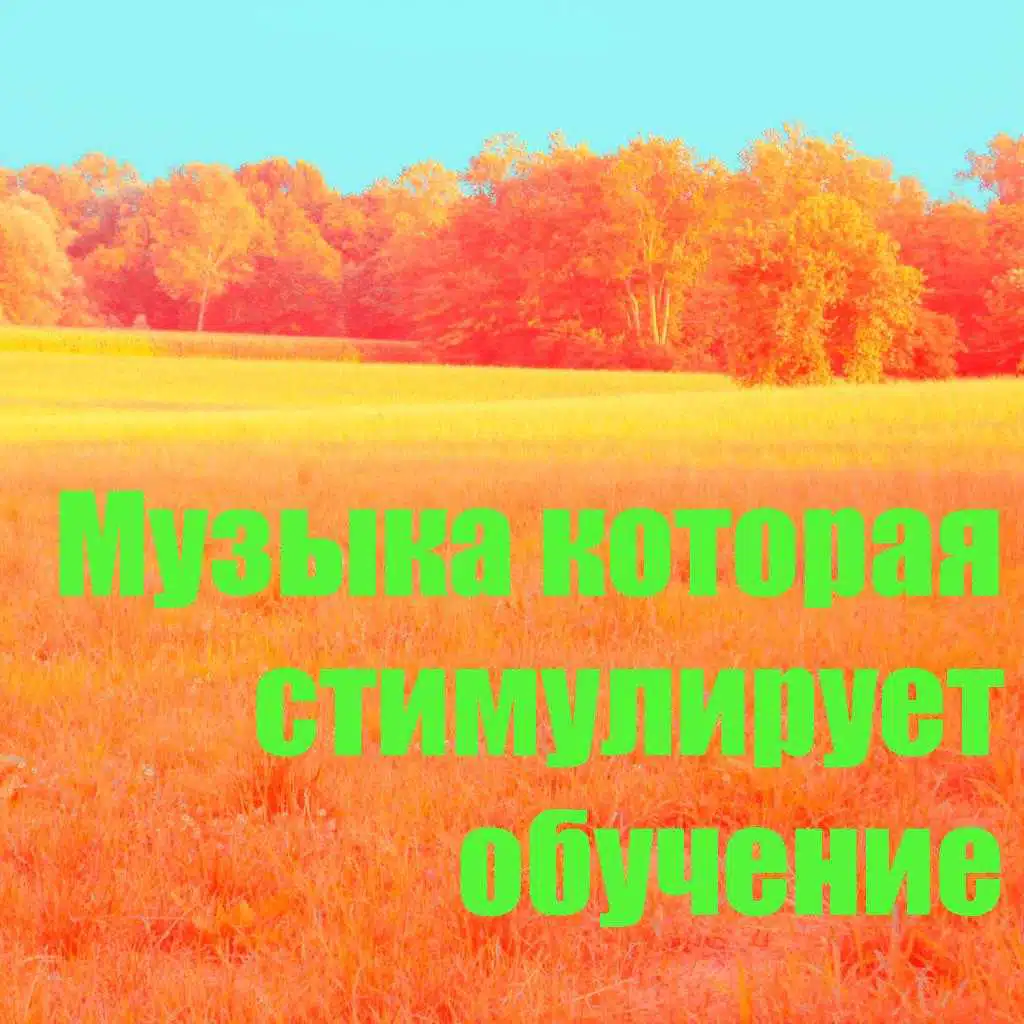 ?????? ??????? ??????????? ???????? 7