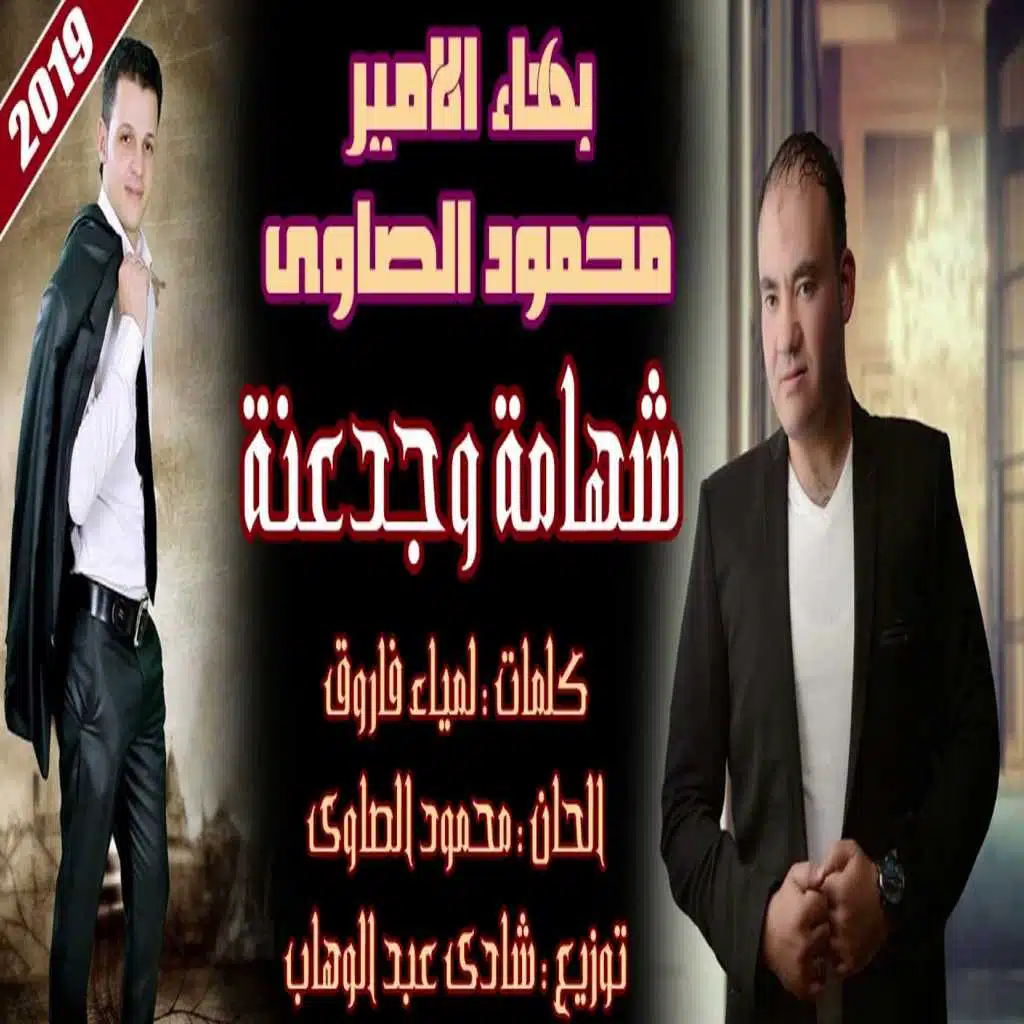 محمود الصاوى - بهاء الامير