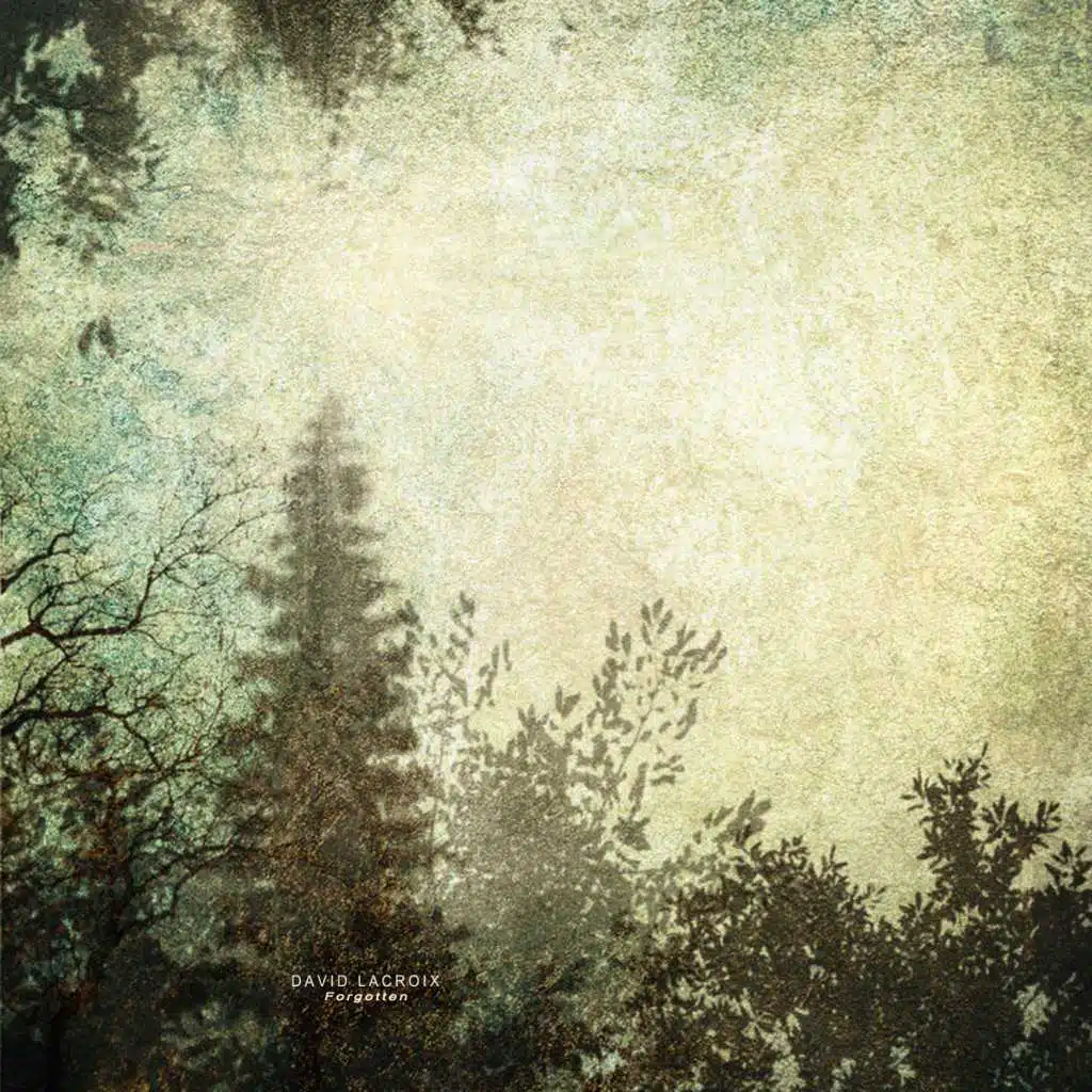 Forgotten (Delskiz Remix)