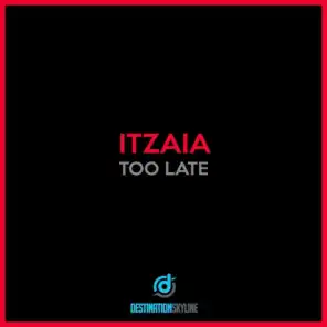 Too Late (Ricin's Dc10 Remix)