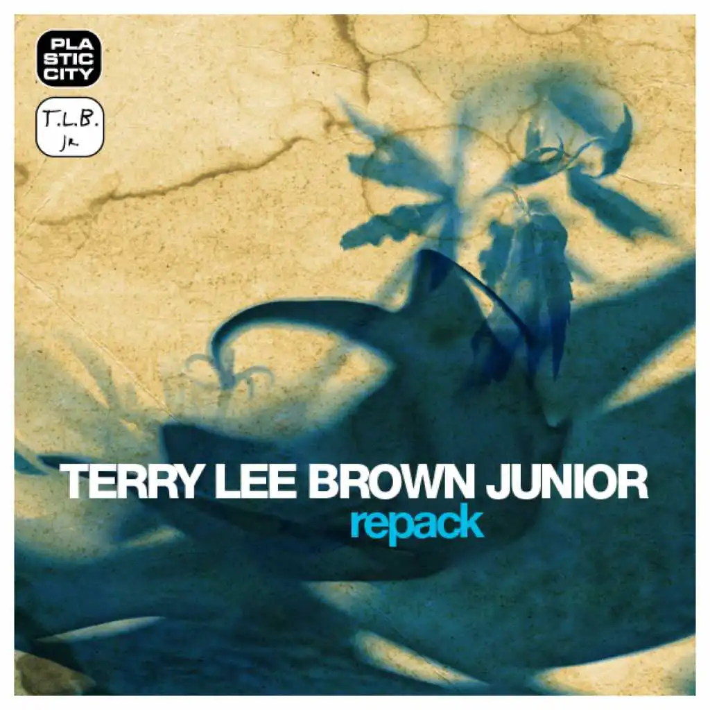 Night In Sutivan (Terry's Bura Edit) [feat. Terry Lee Brown Junior]