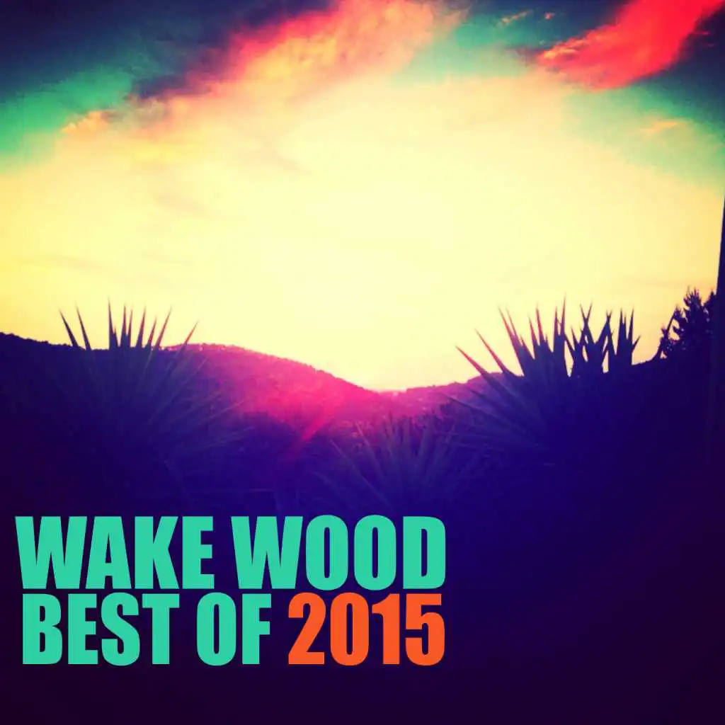 Best Of  Wake Wood 2015