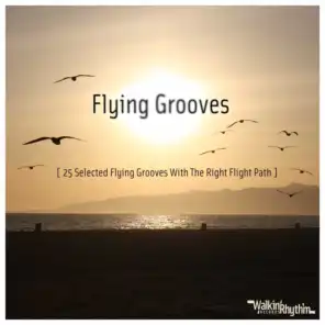 Flying Grooves - 25 Selected Flying Grooves With the Right Flight Path