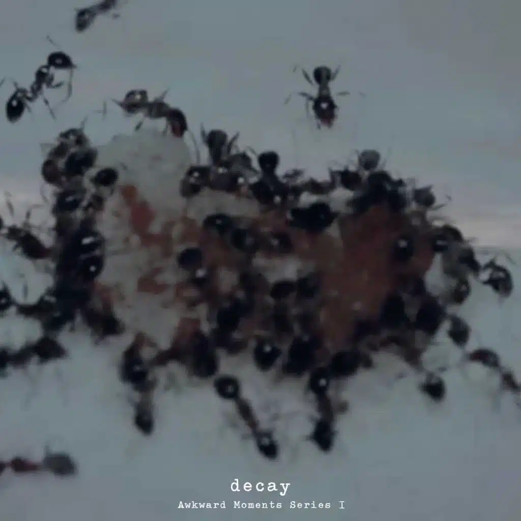 Decay