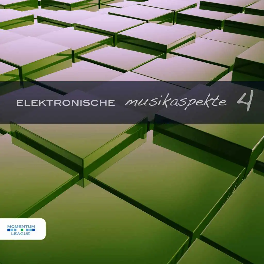 Elektronische Musikaspekte, Vol. 4