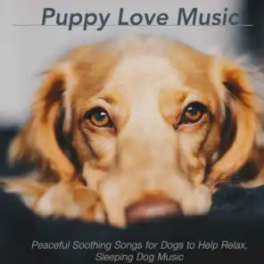 Puppy Love Music: Peaceful Soothing Songs for Dogs to Help Relax, Sleeping Dog Music
