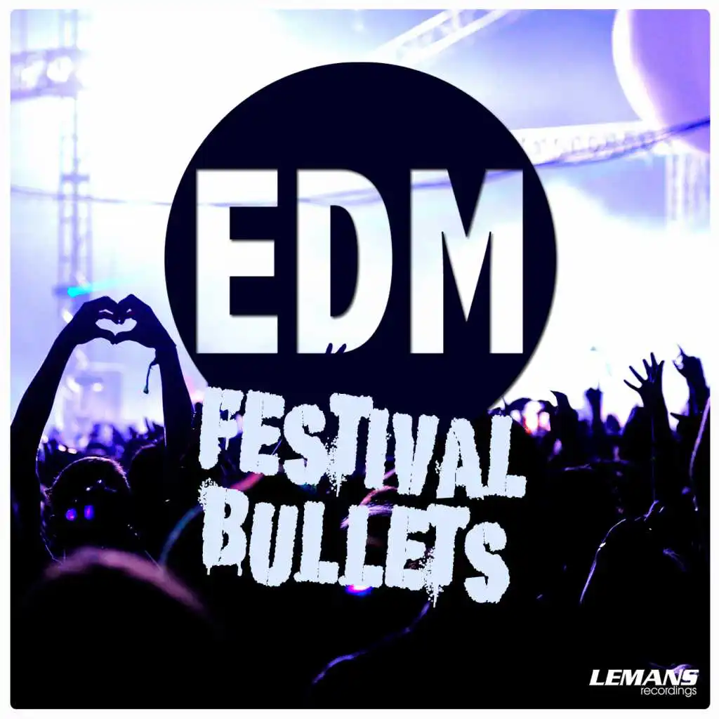 EDM Festival Bullets