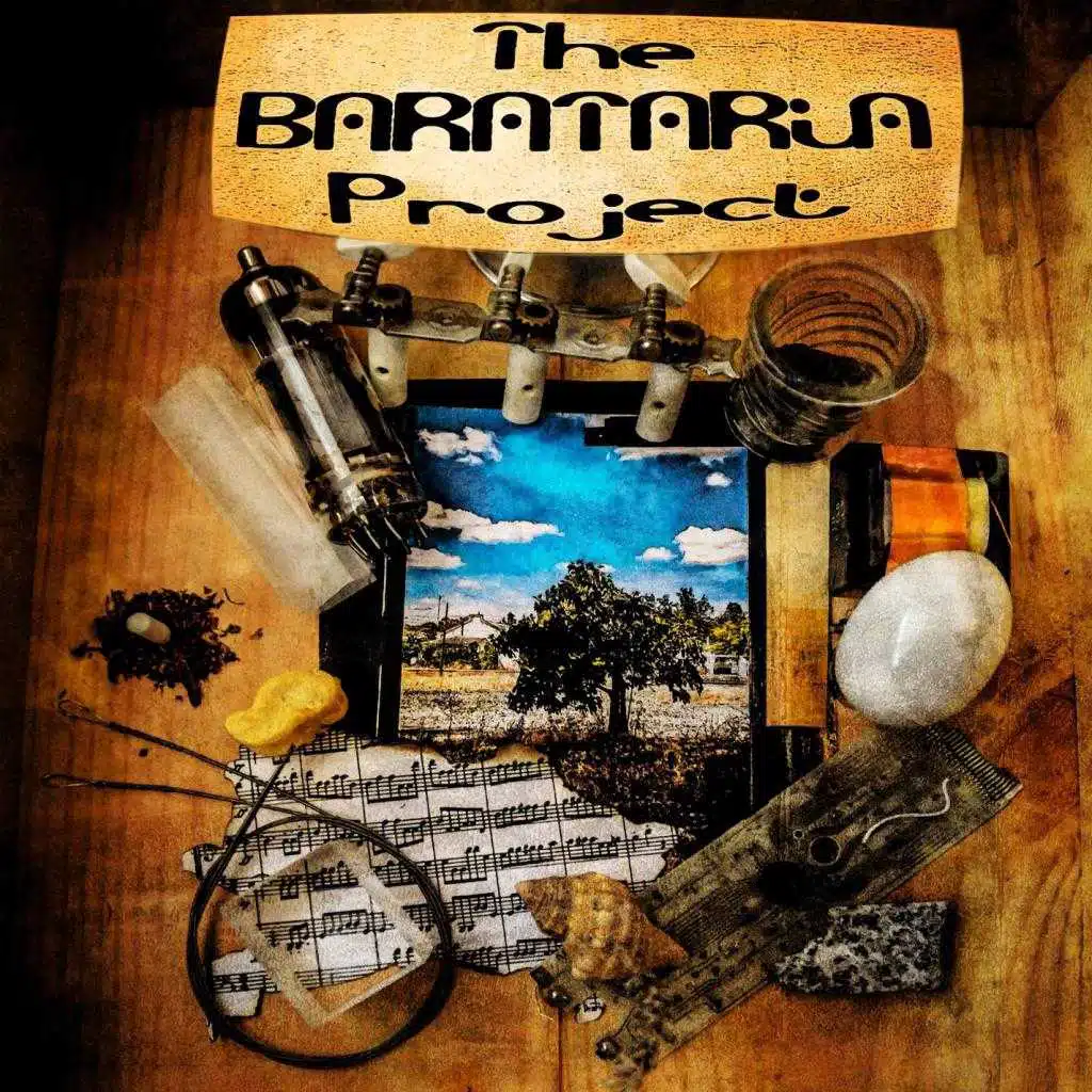 The Barataria Project