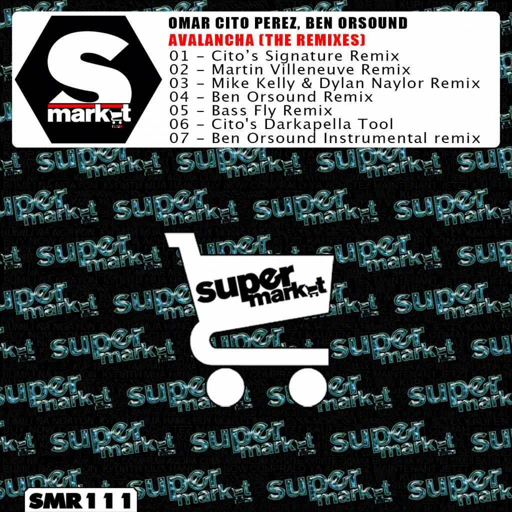 Avalancha (Bass Fly Remix)