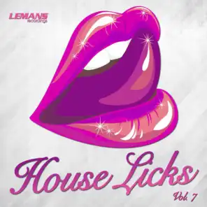 House Licks, Vol. 7