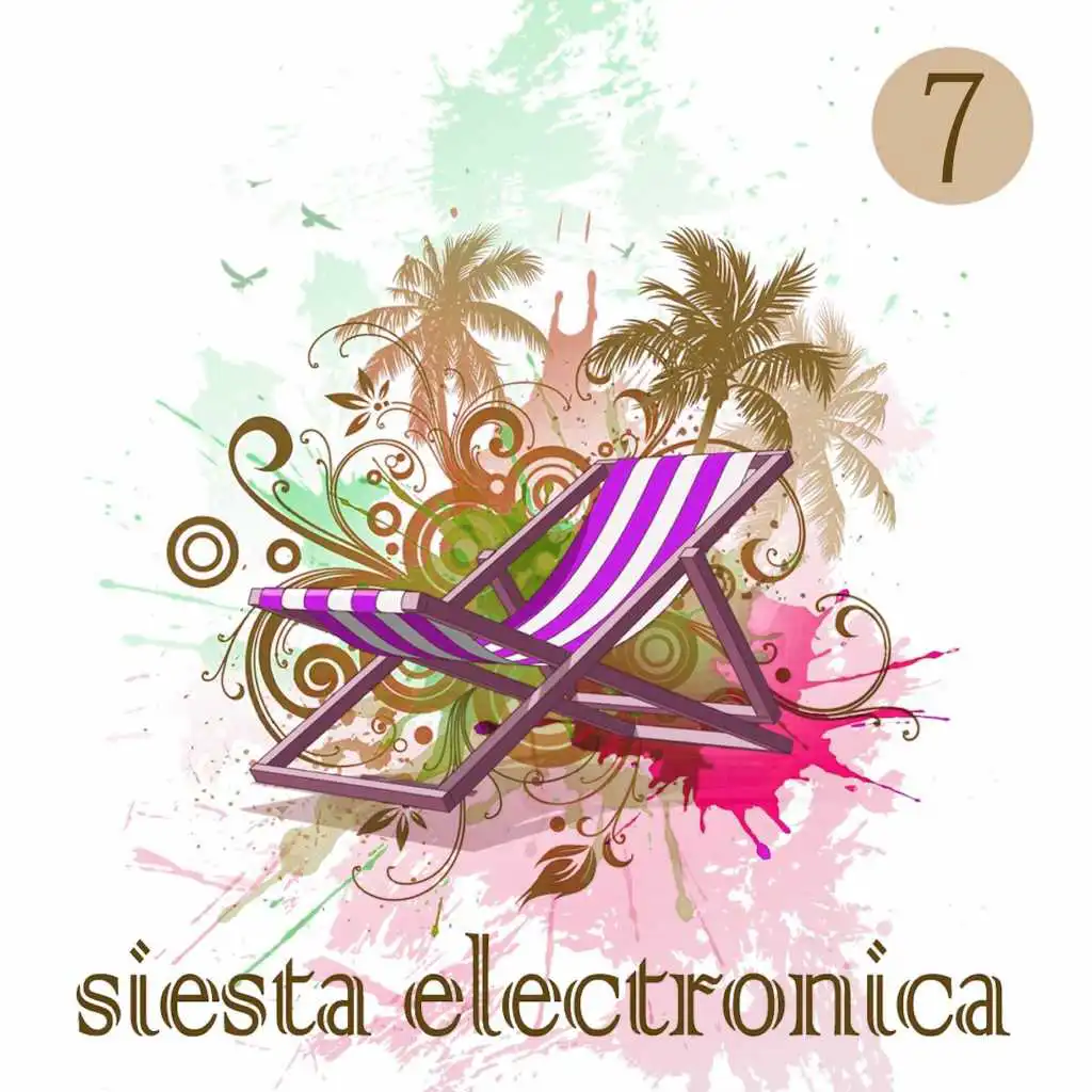 Siesta Electronica, Vol. 7