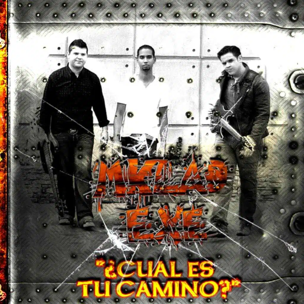 ¿Cuál es tu camino?