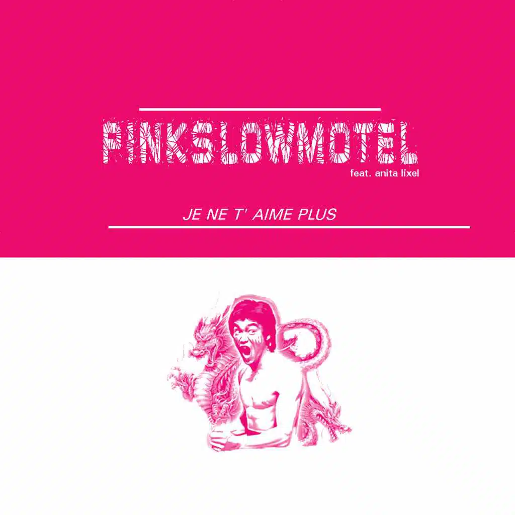 Je ne t'aime plus (feat. Anita Lixel)