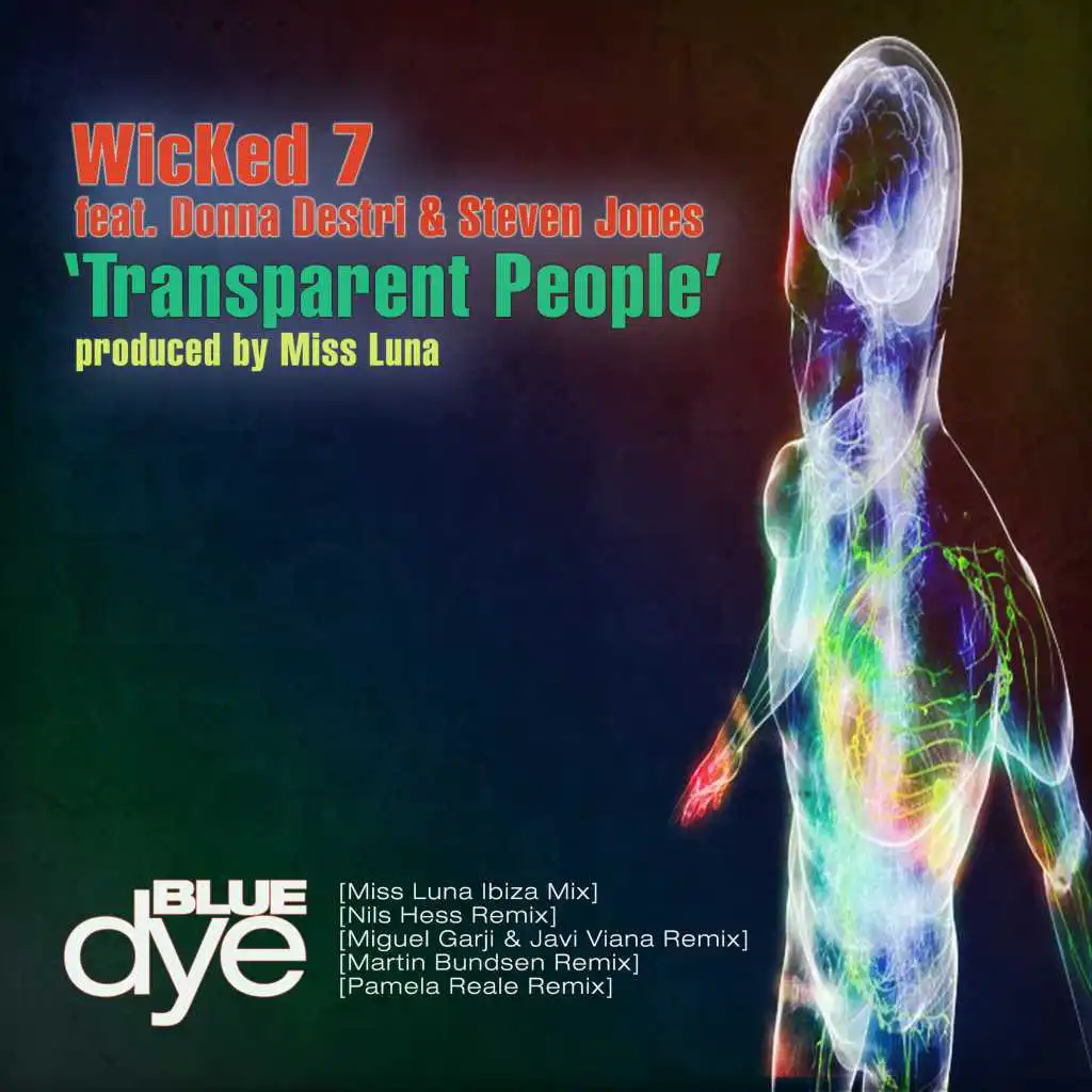 Transparent People (Miguel Garji & Javi Viana Remix) [feat. Donna Destri & Steven Jones]