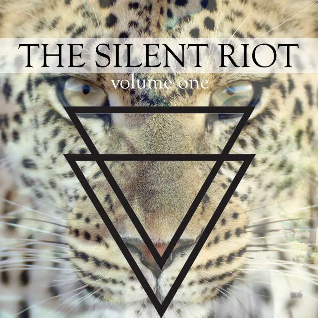 The Silent Riot, Vol. 1