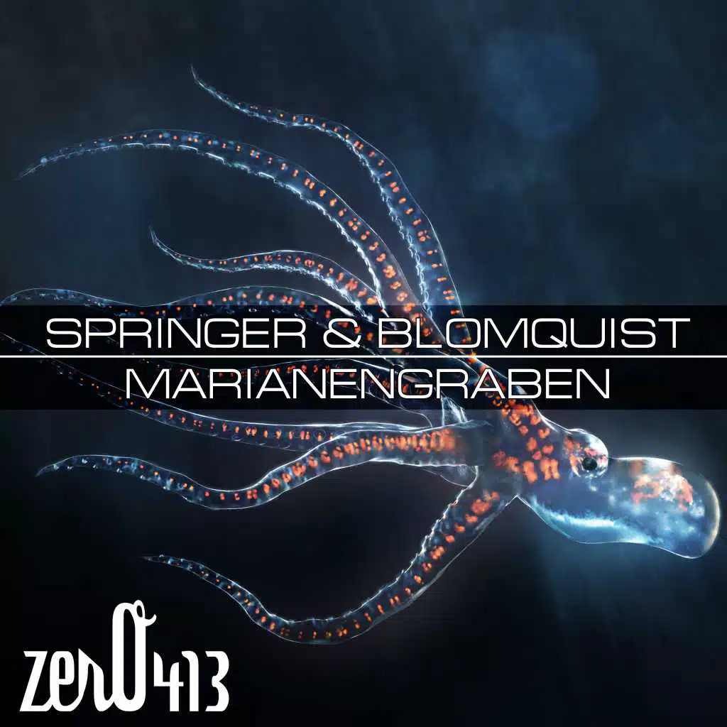 Springer & Blomquist