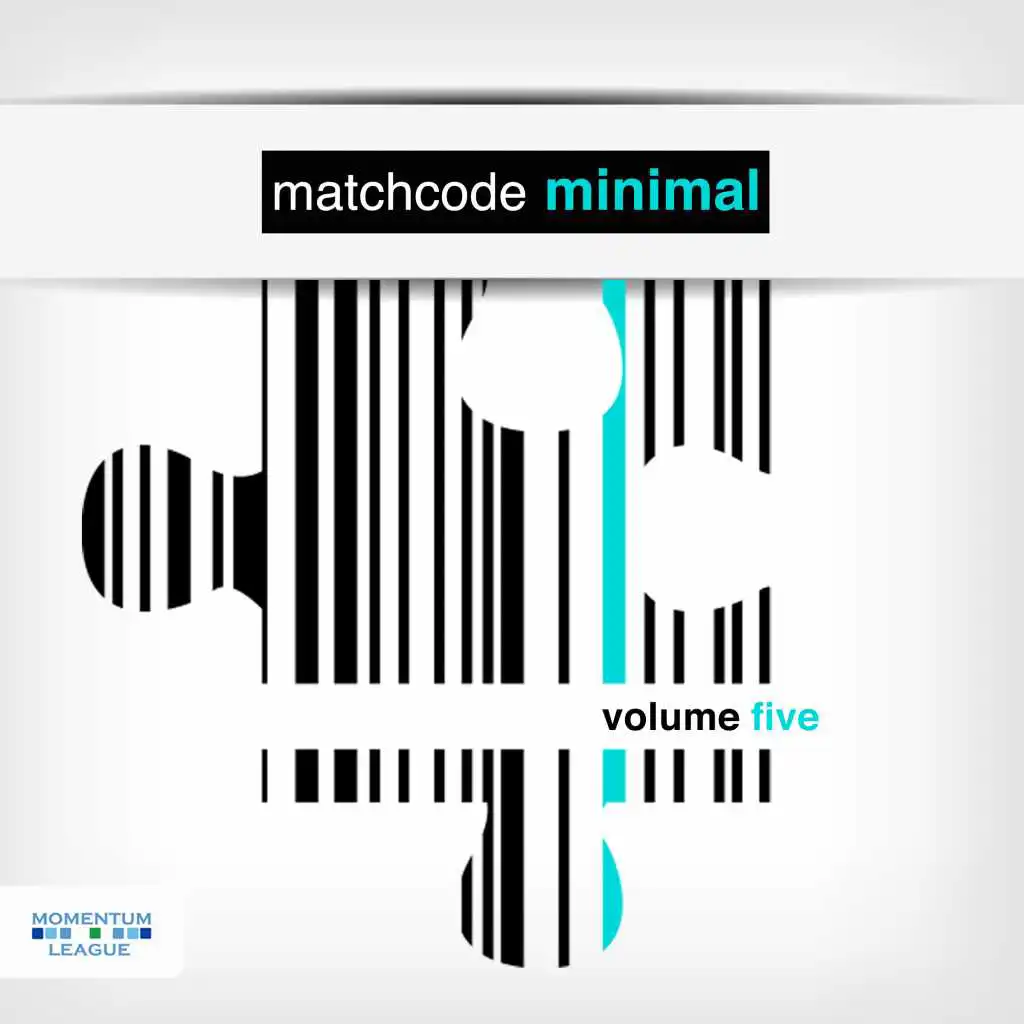 Matchcode Minimal, Vol. 5