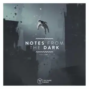 Notes From The Dark, Vol. 1