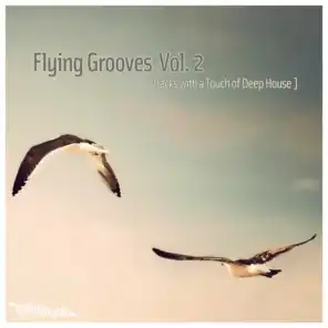 Flying Grooves, Vol. 2 - Tracks With a Touch of Deep House