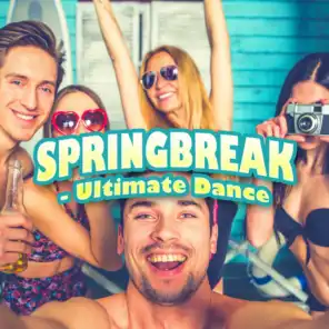Springbreak - Ultimate Dance Tracks