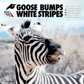 White Stripes (Jorgensen Remix)