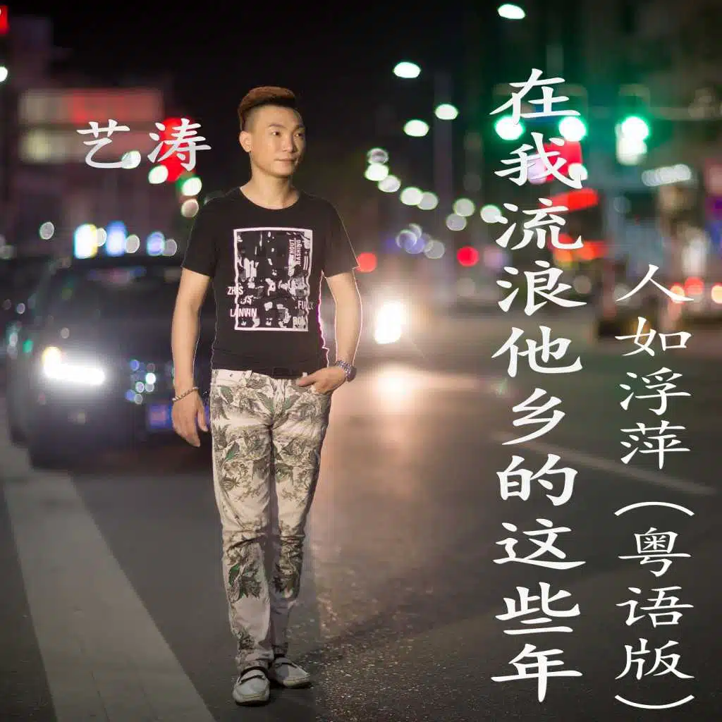 在我流浪他乡的这些年 (粤语版)