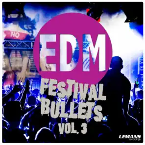 EDM Festival Bullets, Vol. 3
