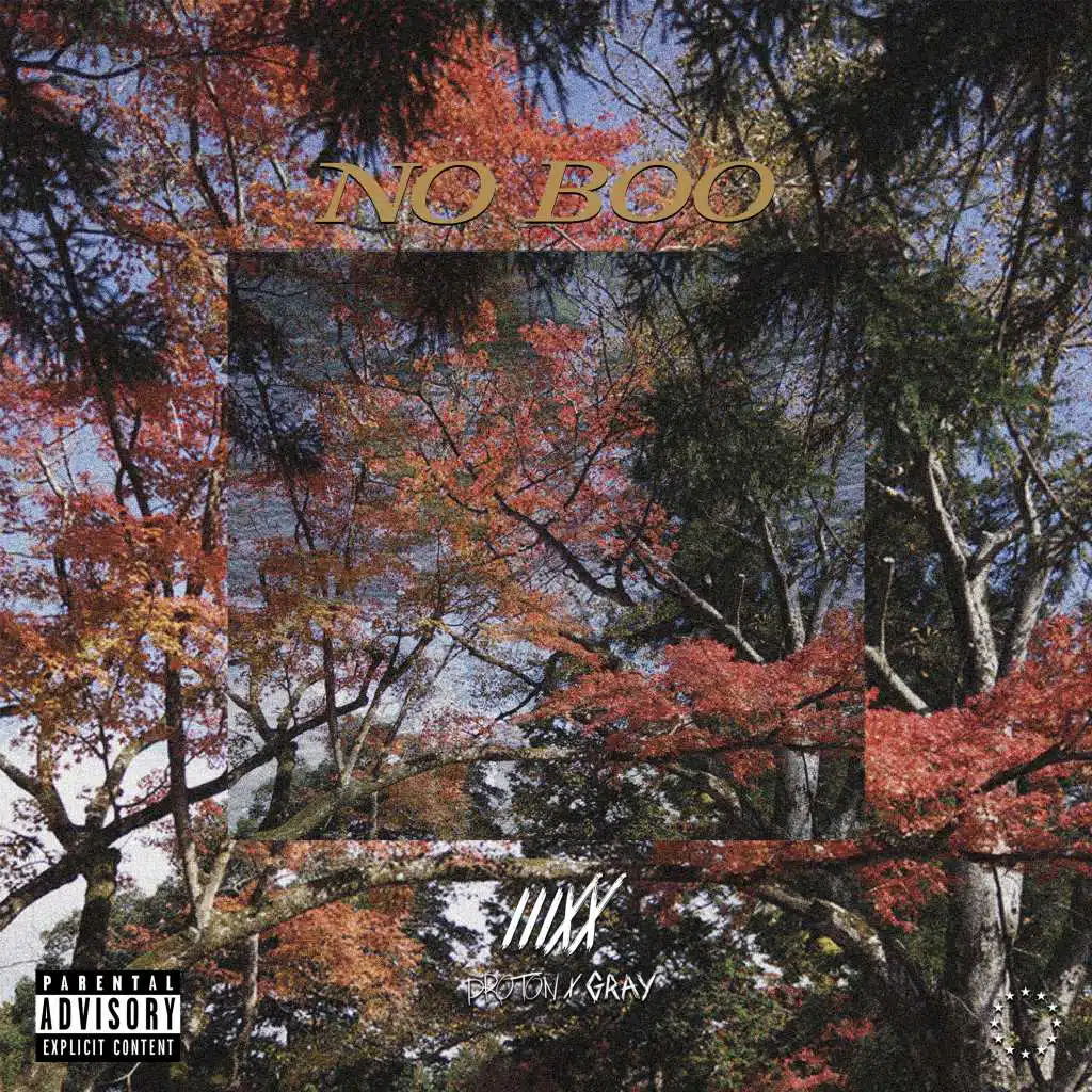 No Boo (feat. Gray & Proton)