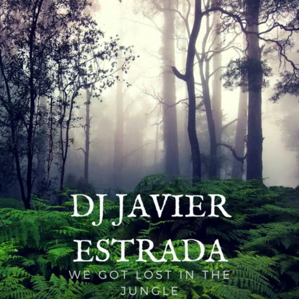 We Got Lost In The Jungle