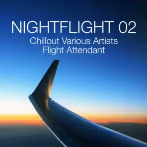 Nightflight 02 DJ Mix (Continuous DJ Mix)