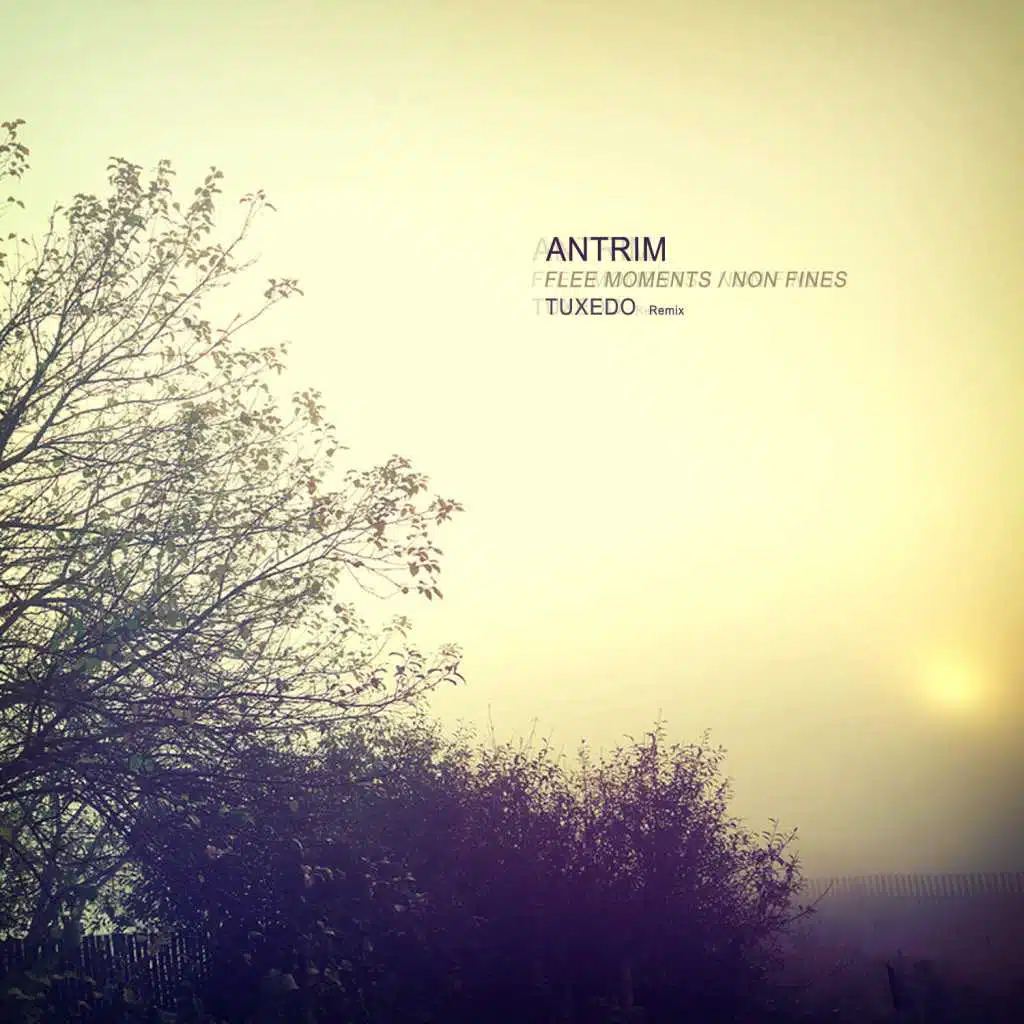 Flee Moments (Tuxedo Remix)