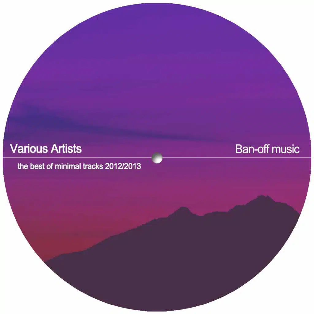 The Best of Minimal Tracks 2012/2013