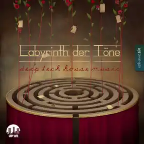 Labyrinth der Töne, Vol. 6 - Deep & Tech-House Music