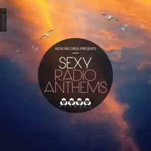 Sexy Radio Anthems, Vol. 2