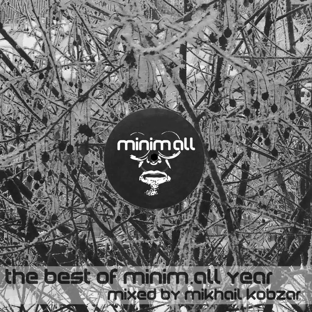 The Best of Minim.All Year, Vol. 2 (Continuous DJ Mix)