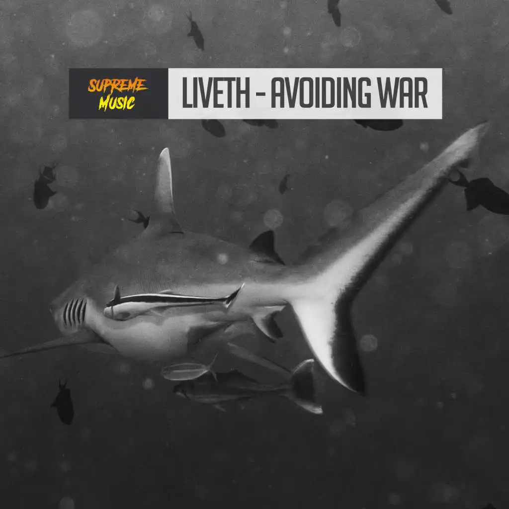 Avoiding War