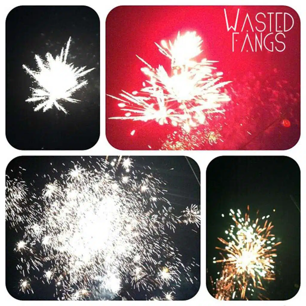 Various Songs From Winter