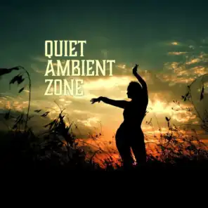 Quiet Ambient Zone