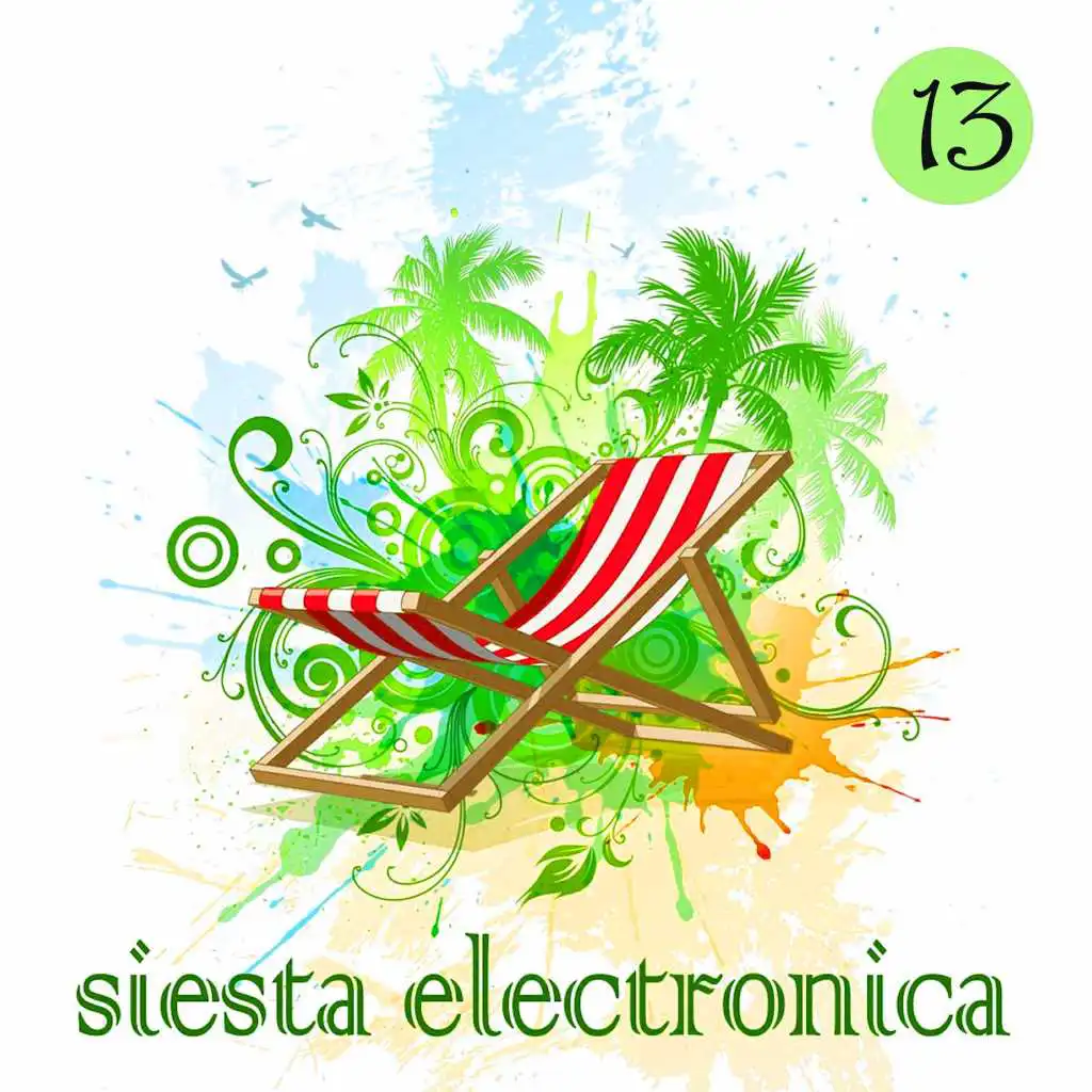 Siesta Electronica, Vol. 13